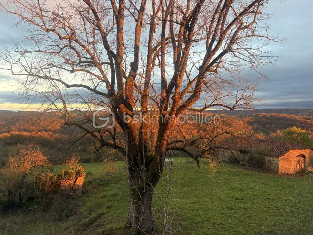 � vendre  Maison Lunan (46100)