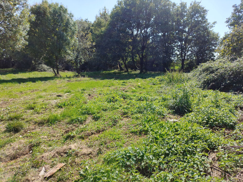 Vente Terrain À vendre terrain à bâtir 1 282 m² – Tesson (17460) – Tesson