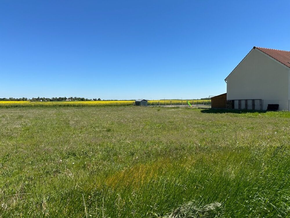 Vente Terrain POLIGNY (77) Terrain à bâtir de 1 546 m2 - Façade de 24m Poligny