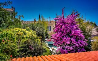 Location Appartement Appartement de 60m2 à louer sur Toulon Toulon
