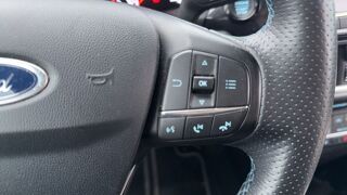 Fiesta VI 1.5 EcoBoost 200 ST 2019 occasion 55200 Geville