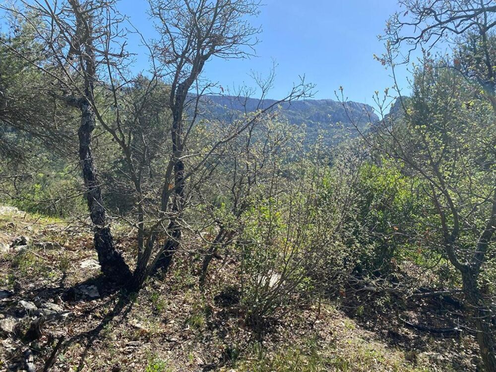 Vente Terrain Terrain  2000 m2 TAL Compteur d eau Raccorde au TAL Plan d aups sainte baume