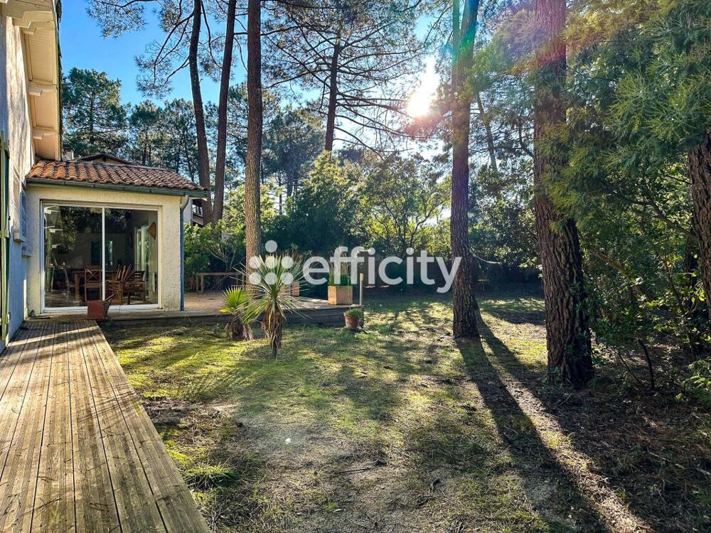 � vendre  Maison Lacanau (33680)