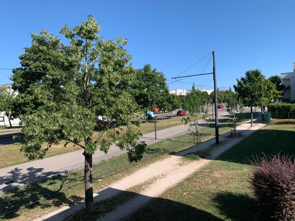   Vente - Bureau - 289 m² - Dijon Dijon