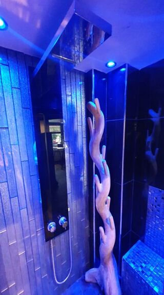  Appartement à louer 1 pièce 12 m²