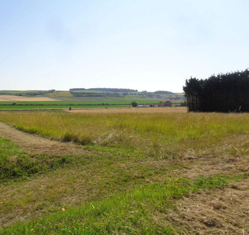 Vente Terrain Terrain à vendre AVY (17) Terrain 2000m2 avec certificat d'urbanisme opérationnel Avy