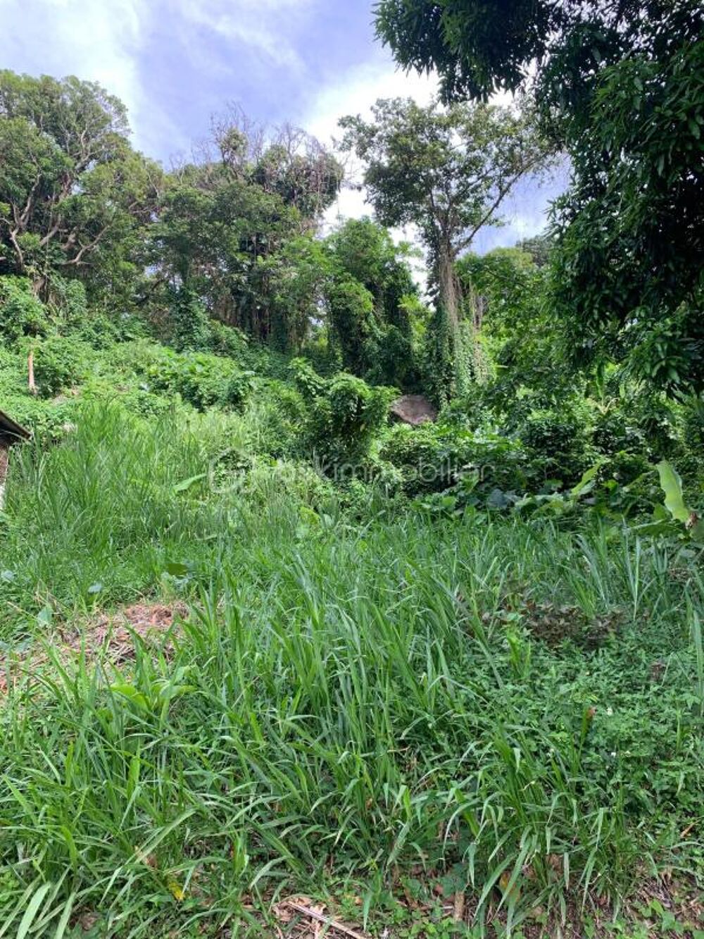 Vente Terrain TERRAIN CONSTRUCTIBLE Saint claude