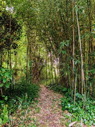  Propri�t�/ch�teau � vendre 2 pi�ces 36 m�