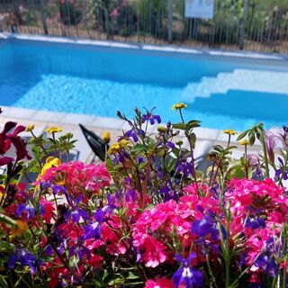  Propri�t�/ch�teau � vendre 10 pi�ces 213 m�