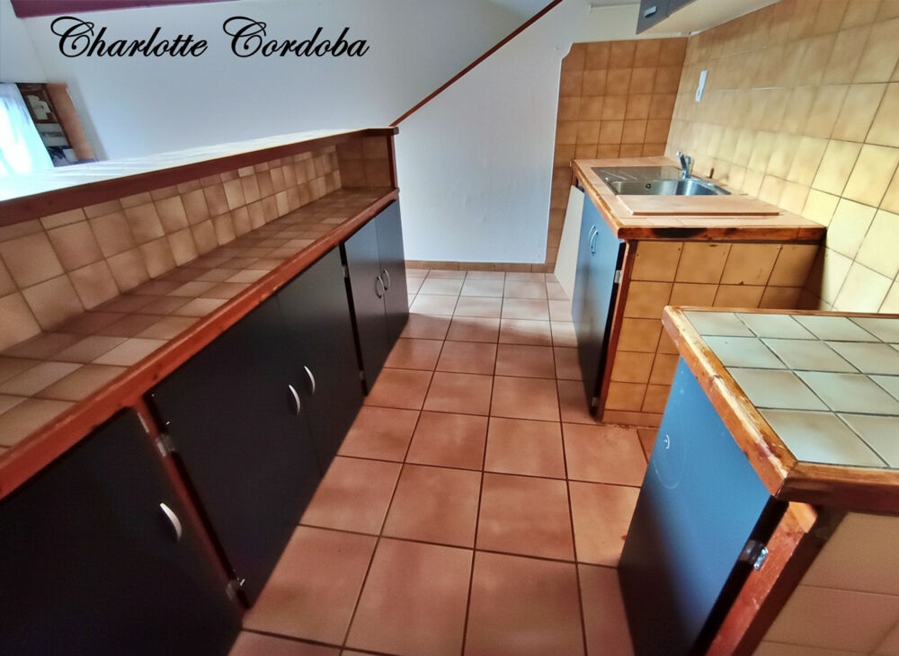 Maison de charme à 50 m du Lot avec mezzanine et terrasse