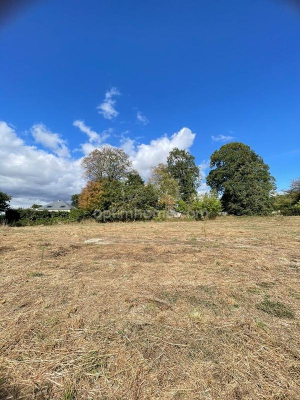 Vente Terrain Belle opportunité ! Terrain de 1 606 m² avec large façade PLOERMEL (56) Ploermel