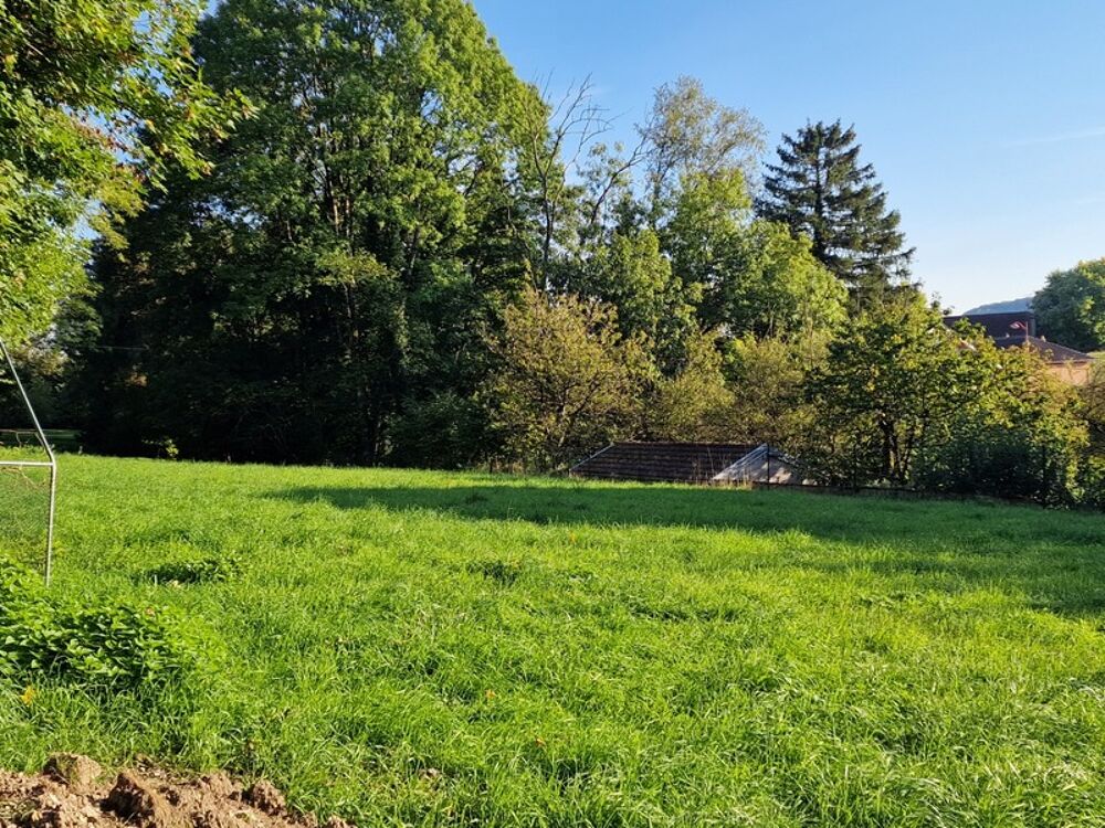 Vente Terrain Terrain de loisirs boisé à vendre  proche de VITTEL (88) Vittel