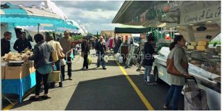  Terrain  vendre 1122 m