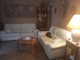  Appartement à louer 1 pièce 15 m²