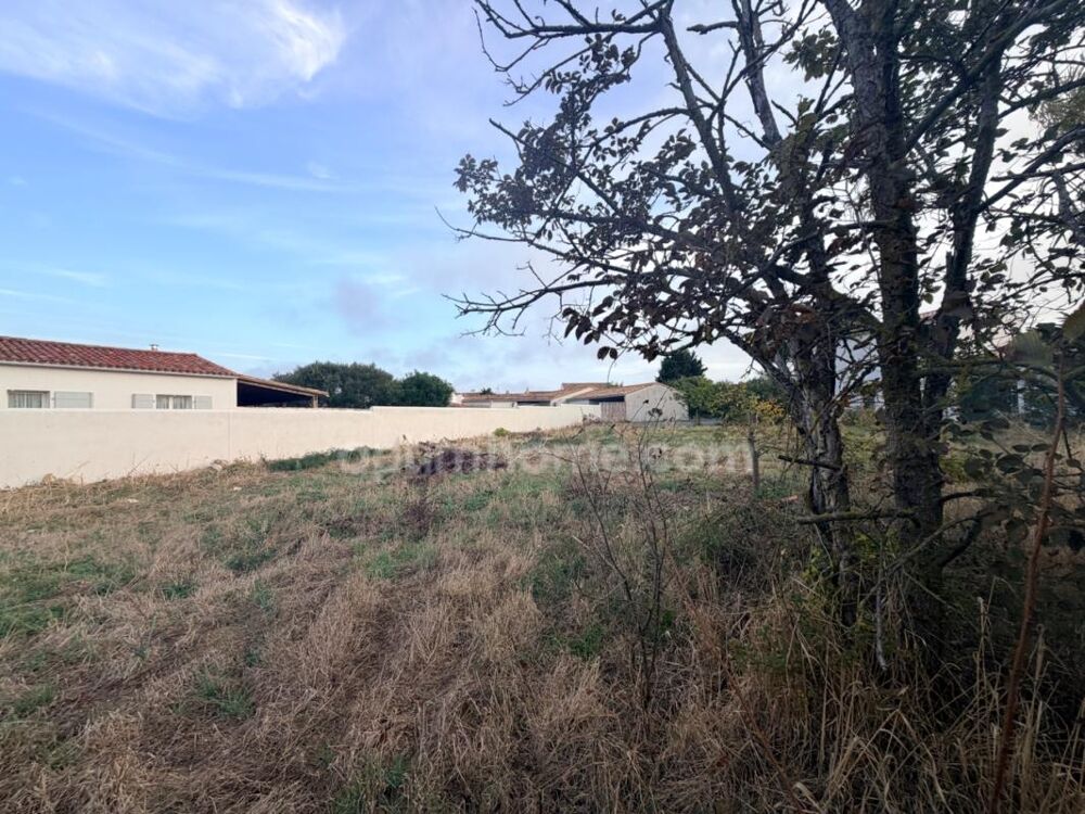 Vente Terrain Terrain à vendre  LE BOIS PLAGE EN RE (17) Le bois plage en re