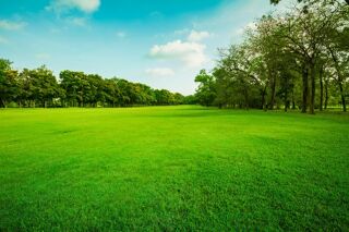  Terrain � vendre 650 m�