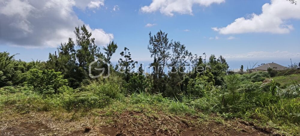 Vente Terrain Terrain à vendre 2000 m2 - Saint-Denis Saint denis