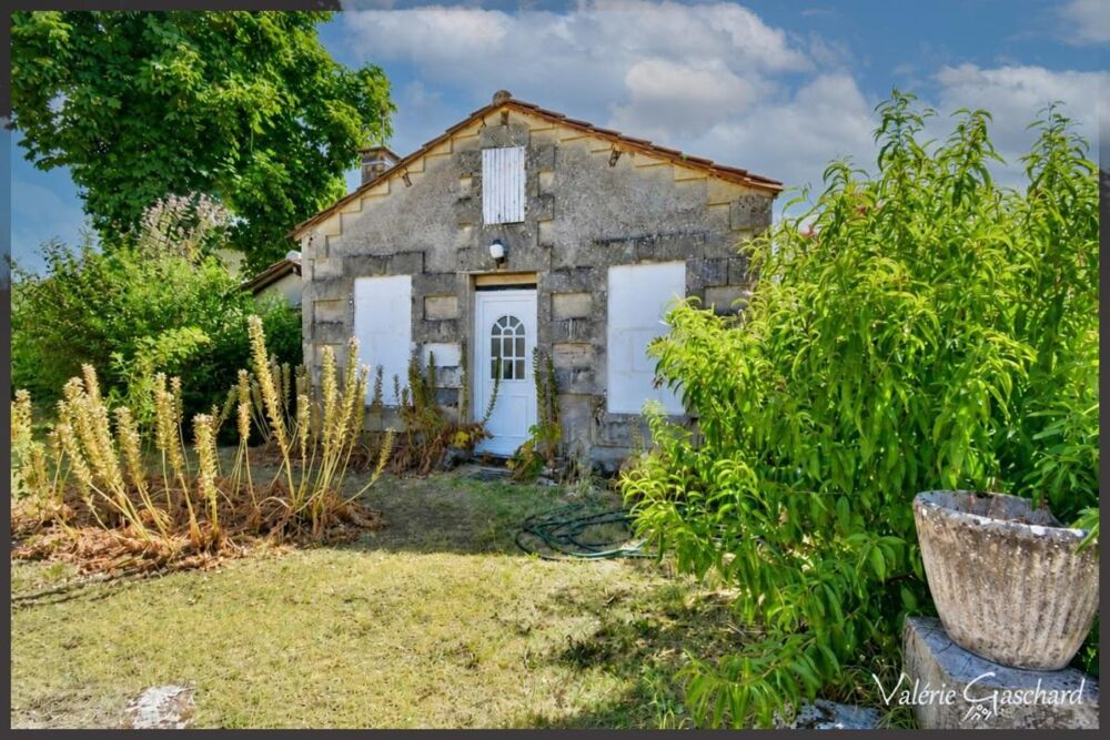Vente Maison St Antoine sur l'isle  ( Gironde) - Maison en Pierre 250 m² + dépendance et piscine Saint antoine sur l isle