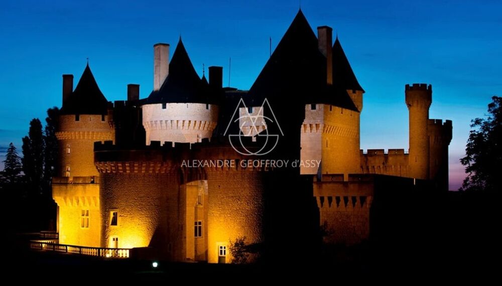 � vendre  Propri�t�/ch�teau Saint-Gaultier (36800)