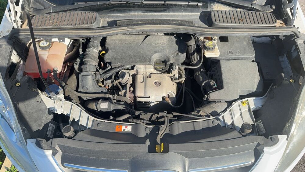 C-max 1.0 EcoBoost 100 Titanium 2014 occasion 21490 Saint Julien