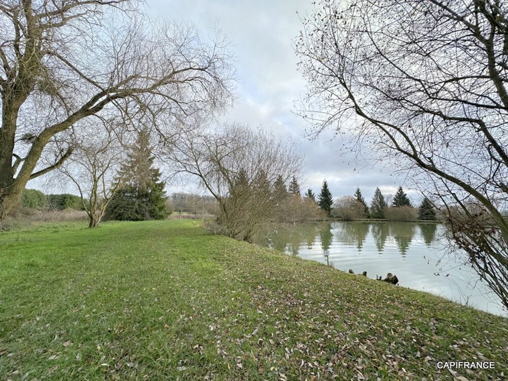Vente Terrain Terrain de loisir avec étangs proche de la Ferté-Bernard (72400) Lamnay