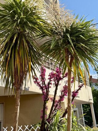  Appartement � vendre 2 pi�ces 49 m�