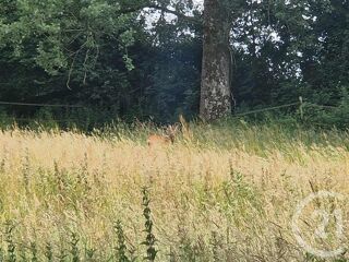  Terrain � vendre 3734 m�