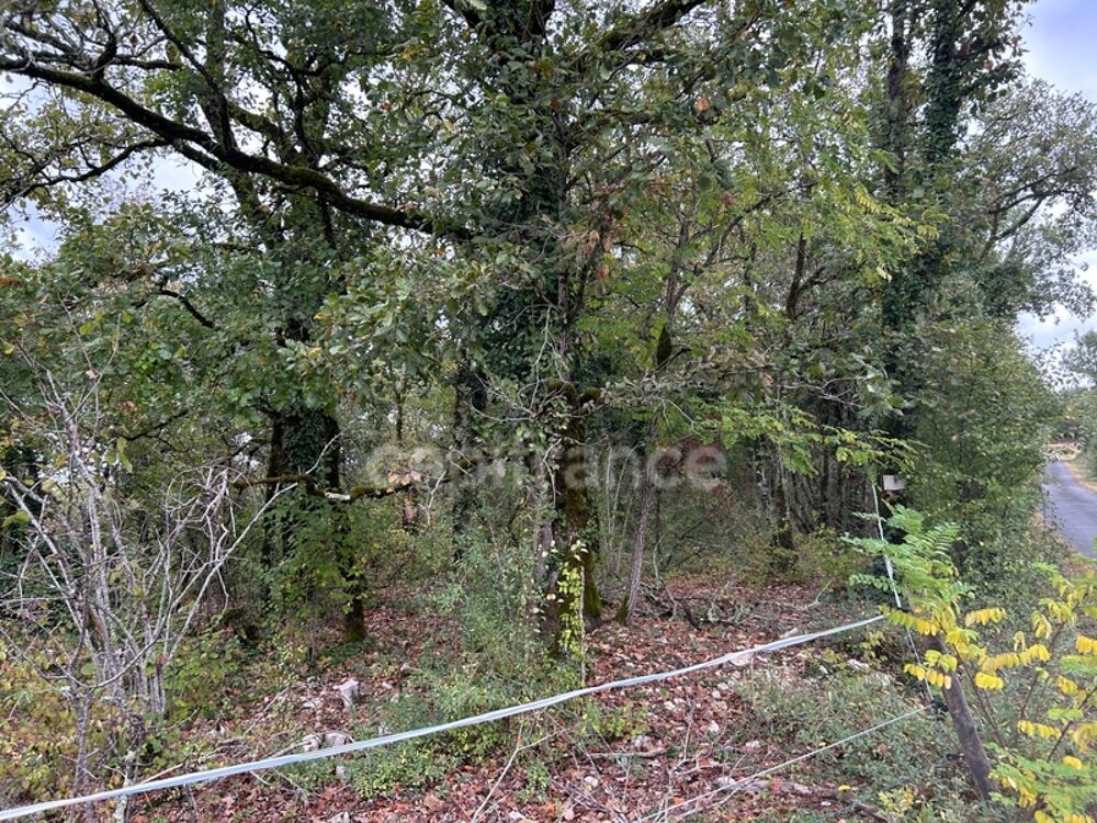 Vente Terrain Terrain à vendre  16300m² SAINT PANTALY D'EXCIDEUIL (24) Saint pantaly d excideuil