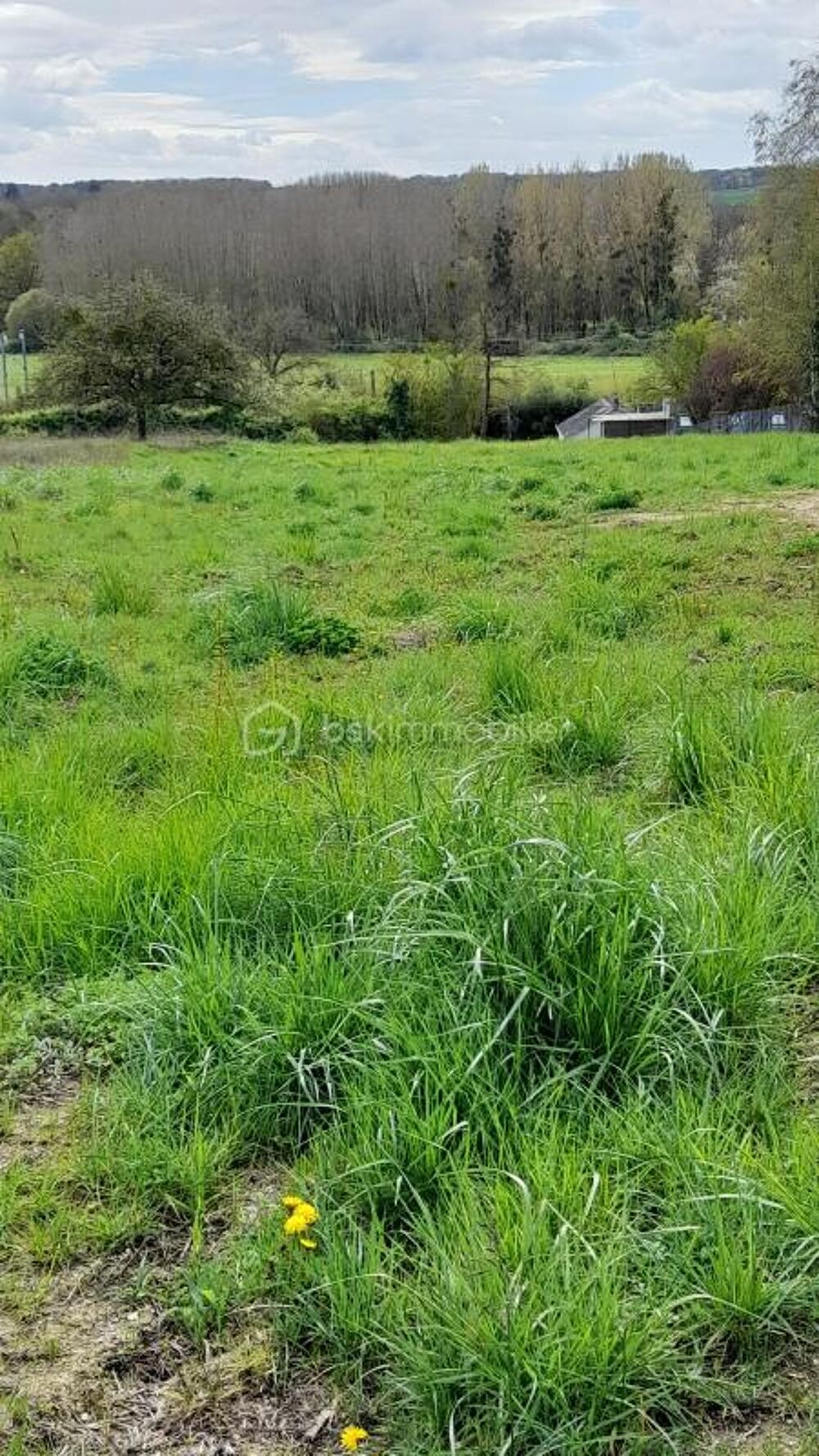 Vente Terrain Terrain constructible Civray de touraine