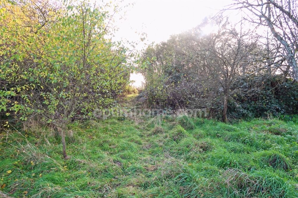 Vente Terrain NOUVEAUTE A VELAINE SOUS AMANCE Velaine sous amance