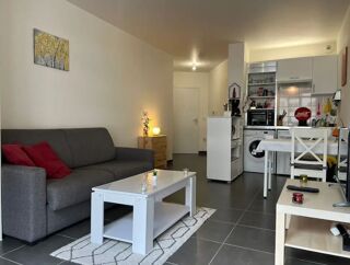  Appartement à louer 1 pièce 29 m²