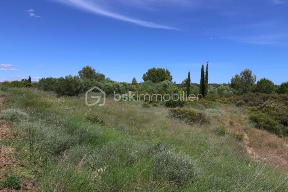 Vente Terrain Oliveraie de plus d'1,5 hectare à Villeveyrac Villeveyrac