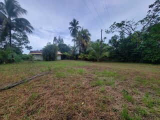  Terrain à vendre 1702 m²