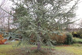  Maison � vendre 8 pi�ces 200 m�