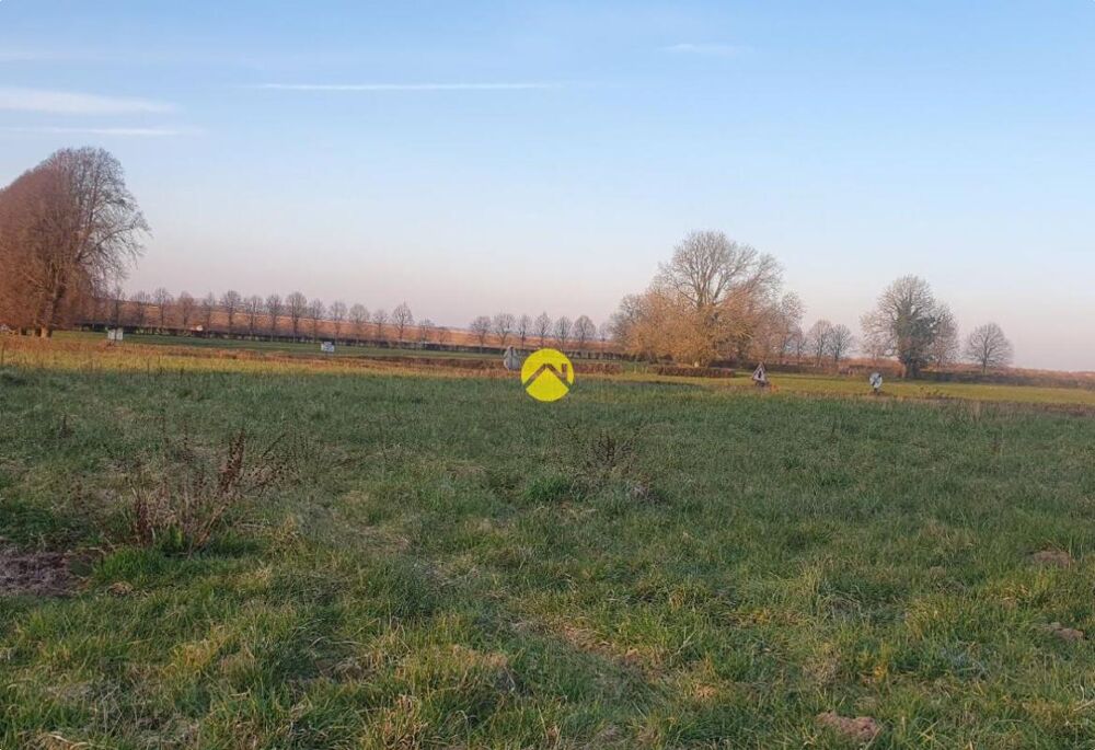 Vente Terrain Terrain en bordure de fôret Beaurainville