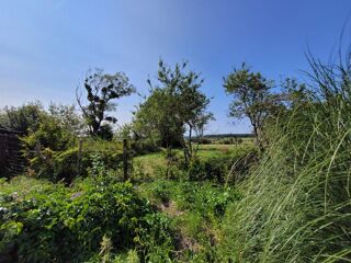 Vente Maison FERMETTE  de plain-pieds 100 m2 et 8000M m2DE TERRAIN - PRUSY 10 Prusy