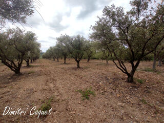  Terrain � vendre 7000 m�