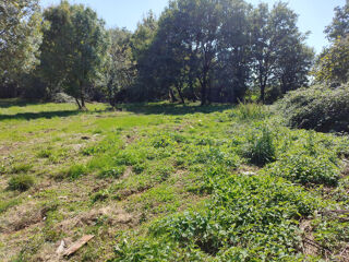  Terrain à vendre 1161 m²