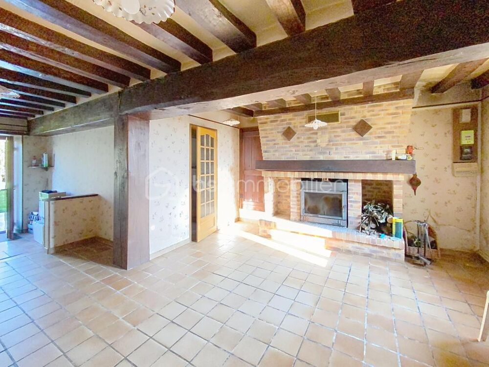 Maison de campagne 95 m² avec dépendance aménagée, garage et puits  Douchy-Montcorbon