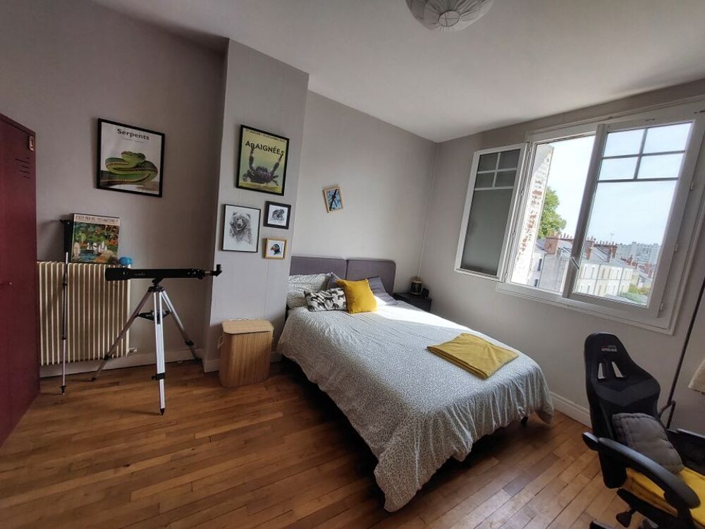 Location Appartement Chambre de 17m2 à louer sur Tours Tours