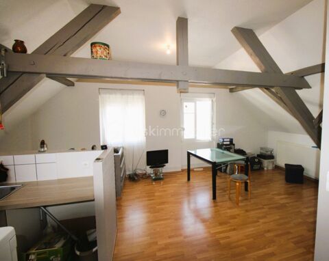 Appartement 71 M2 au sol, 54 M2 habitables à Wittenheim dans quartier calme 101000 Wittenheim (68270)