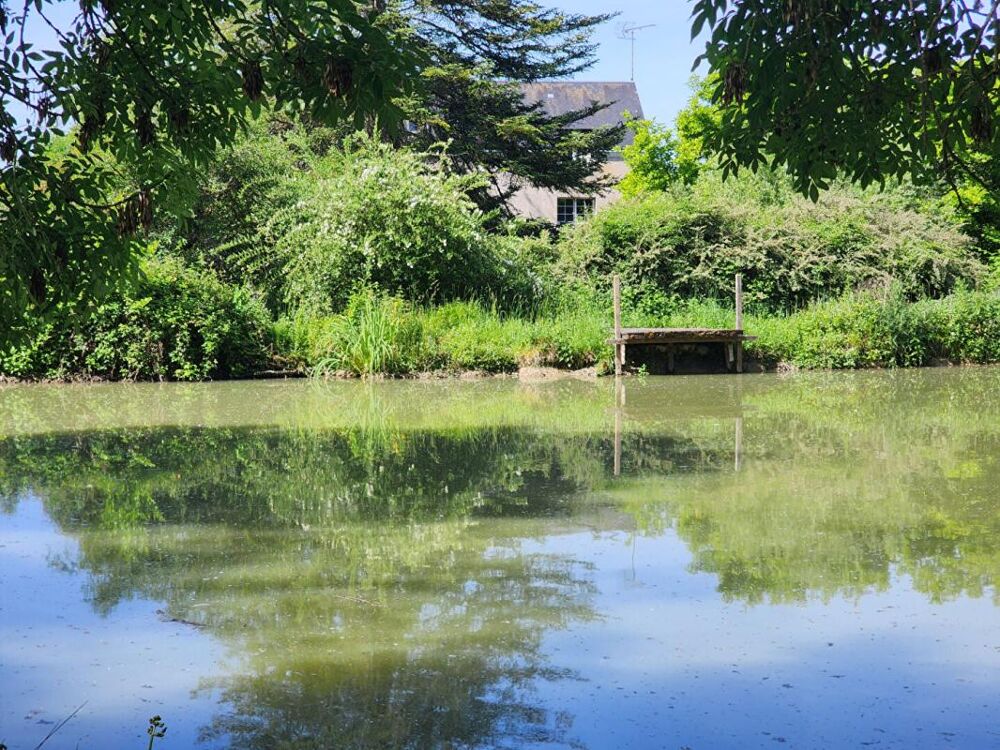 Vente Moulin Moulin Perrusson 16 pièce(s) 352 m2 Perrusson