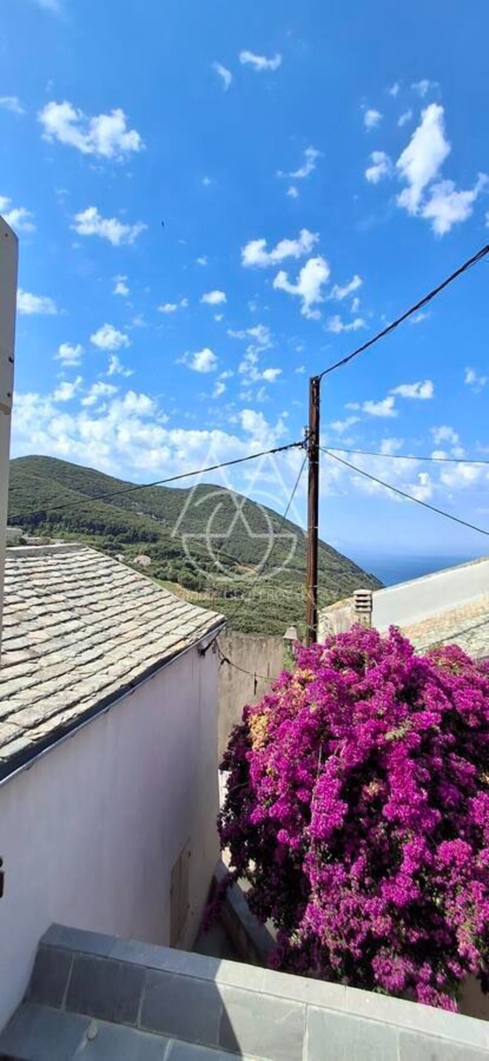 à vendre  Maison Centuri (20238)