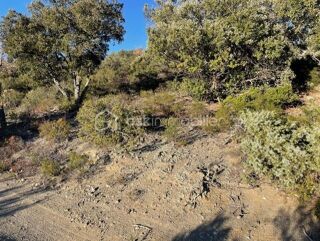  Terrain � vendre 6500 m�