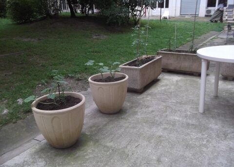  Appartement � louer 1 pi�ce 13 m�