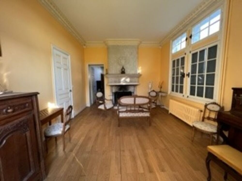 à vendre  Propriété/château Amboise (37400)