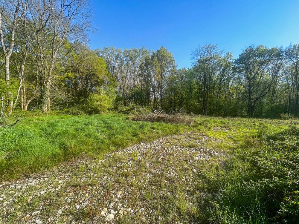 Vente Terrain Terrain Villefranche Sur Cher 6804 m2 Villefranche sur cher