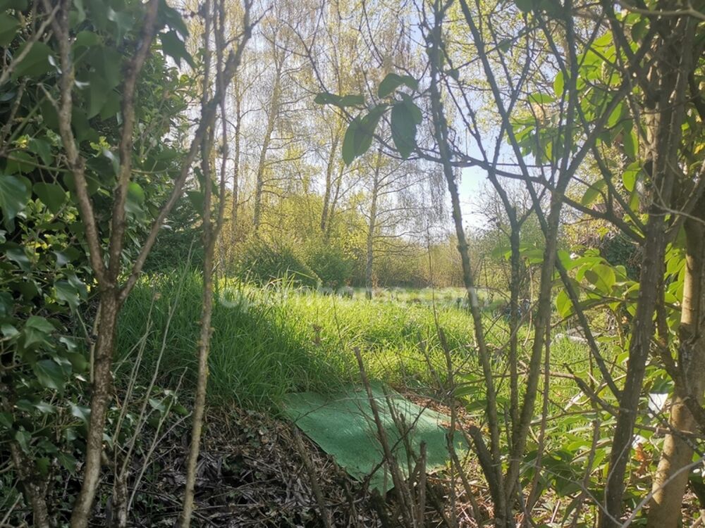 Vente Maison Maison Individuelle terrain 44 ares Rurange les thionville