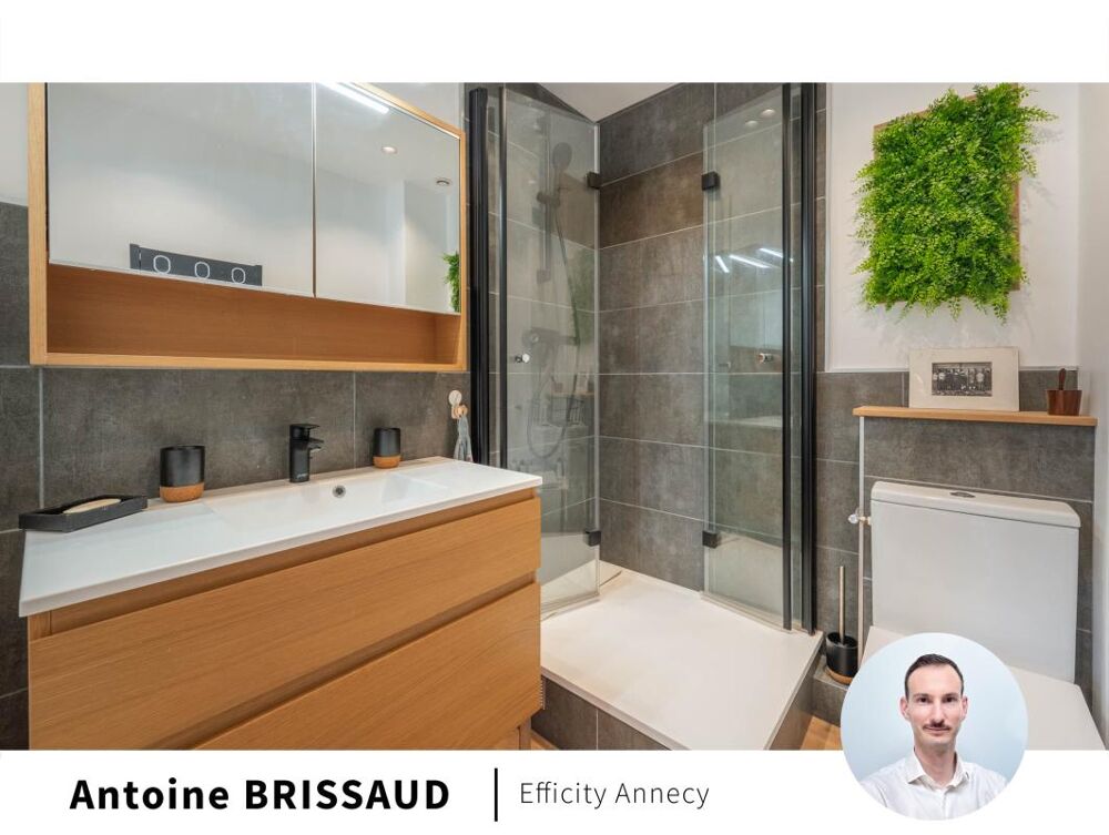 à vendre  Appartement Bluffy (74290)