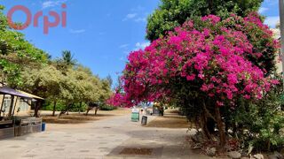  Appartement � vendre 3 pi�ces 180 m�